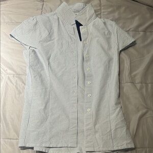 Brandy Melville Blue and White Striped Shirt